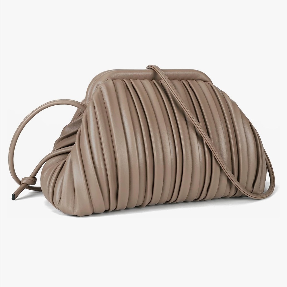 NWT Dumpling Bag